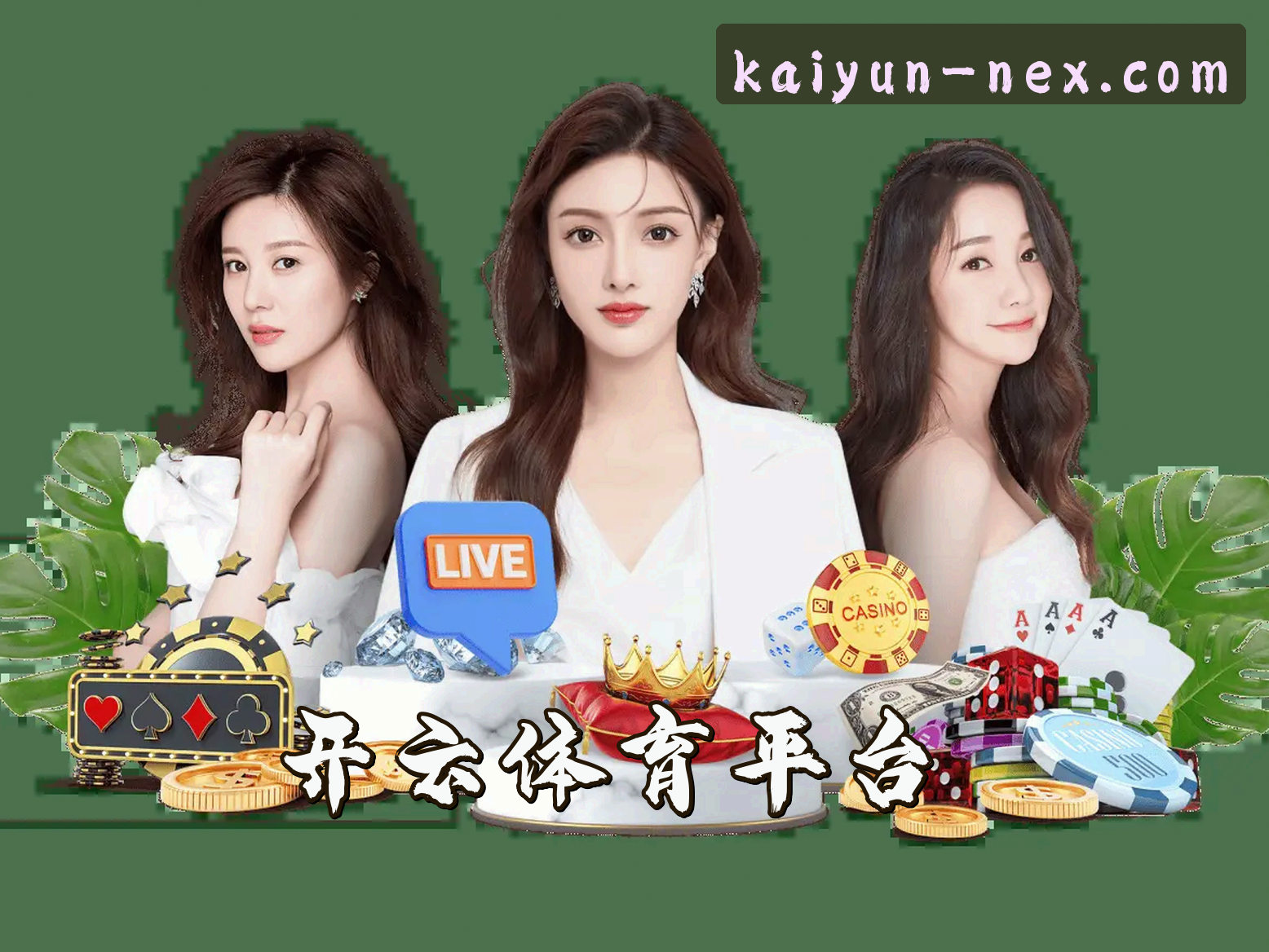 关于我们 - 【官方】开云(KAIYUN)中国官方网站